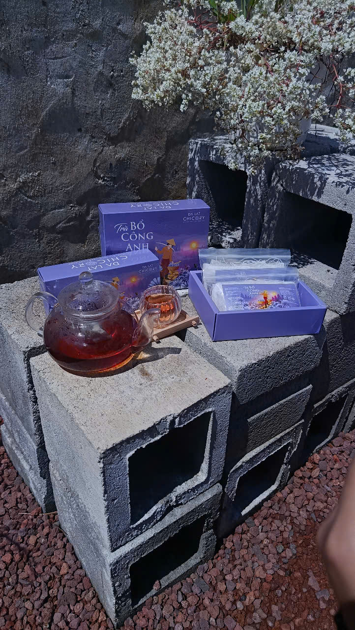 Trà Bồ Công Anh Chicory Dalat (40 túi lọc x2g)