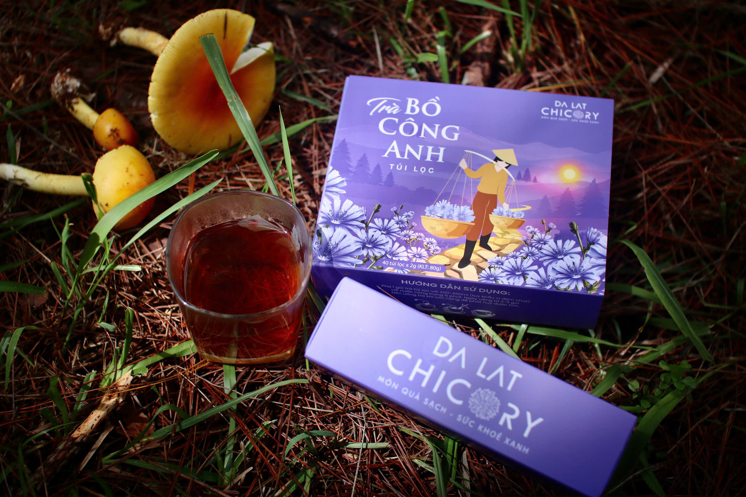 Trà Bồ Công Anh Chicory Dalat (40 túi lọc x2g)