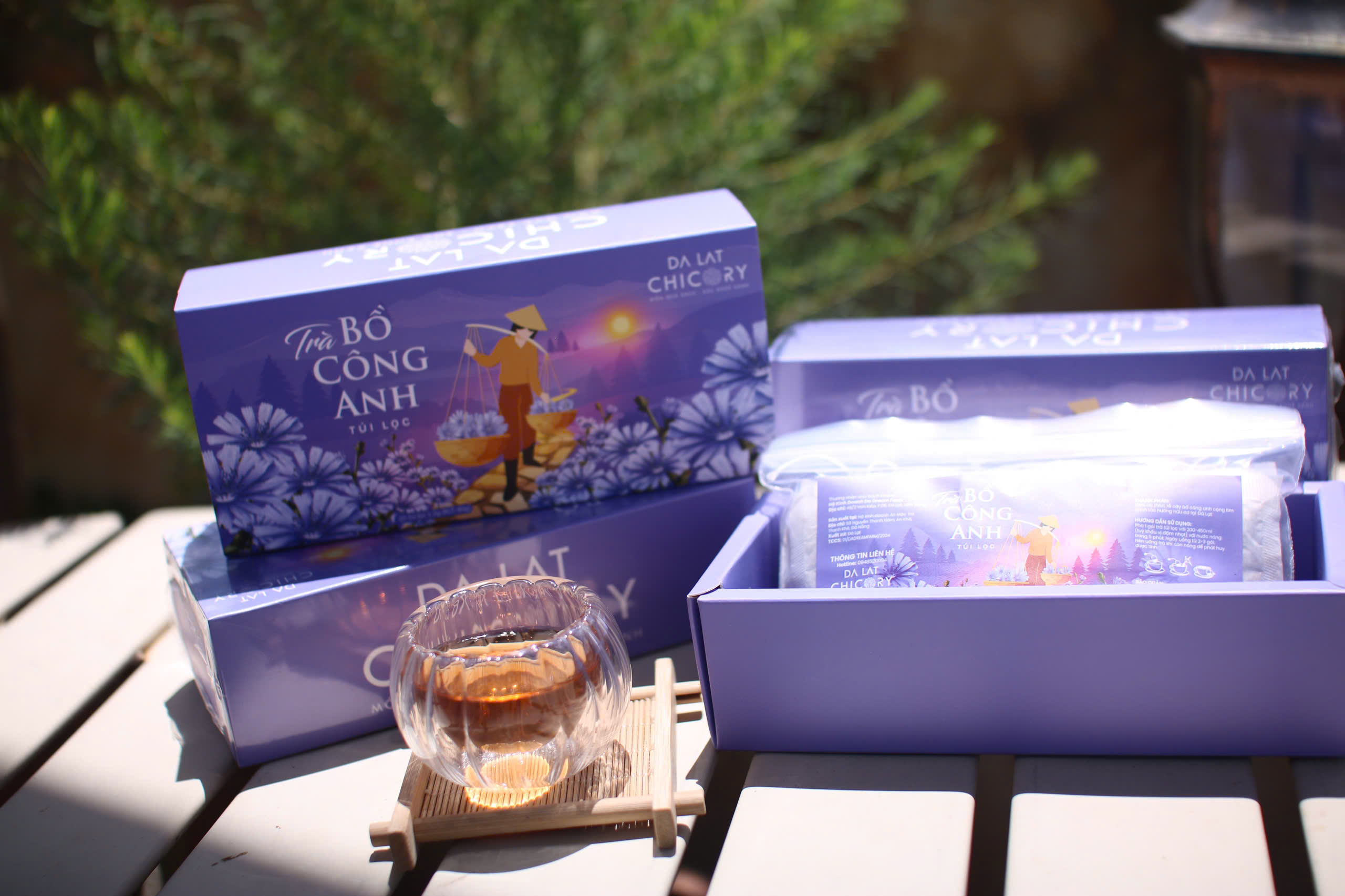 Trà Bồ Công Anh Chicory Dalat (40 túi lọc x2g)